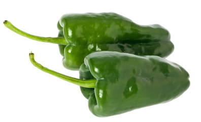 Poblano Pepper